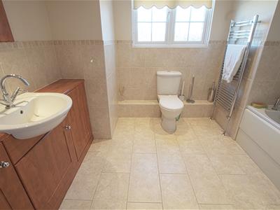 Picture 16